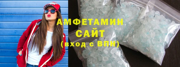 мет Алексин