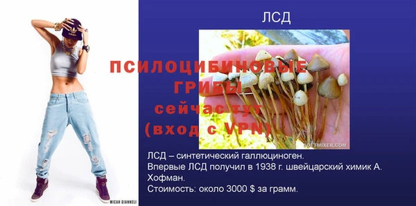 прущая мука Алзамай