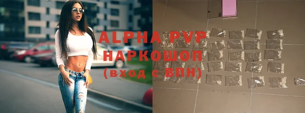 мет Алексин