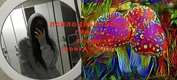 мет Алексин
