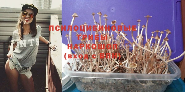 прущая мука Алзамай