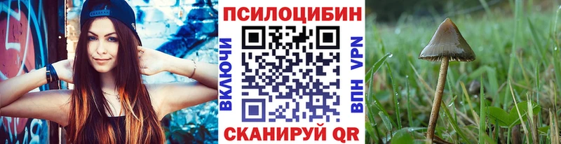 цена   Порхов  Псилоцибиновые грибы MAGIC MUSHROOMS 