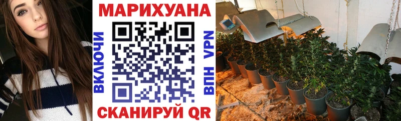 Каннабис MAZAR  Порхов 